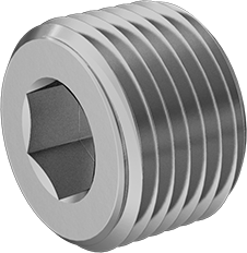 Hex Socket Pipe Plug